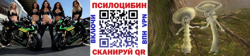 Псилоцибиновые грибы Cubensis  Городец 